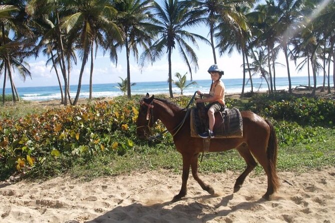 Horseback Riding at Macao Beach - How the guides affect the experience