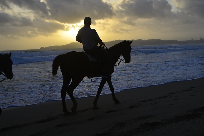Horseback Riding at Sunrise on the Beach of Punta Cana - The Sunrise and Photo Opportunity