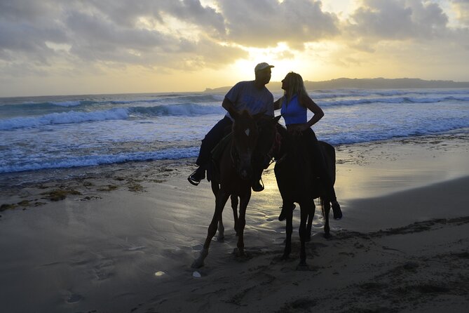 Horseback Riding at Sunrise on the Beach of Punta Cana - Is $83.19 a Fair Price?