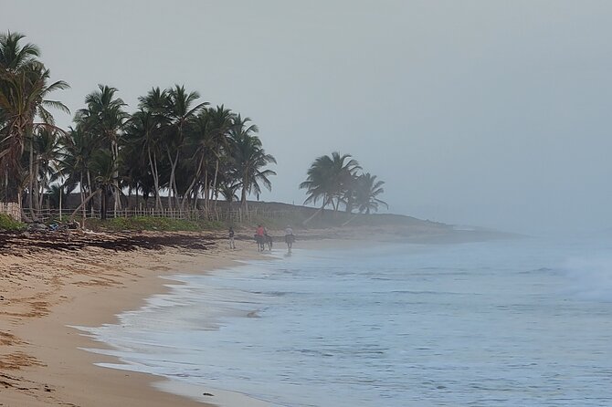 Horseback Riding at Sunrise on the Beach of Punta Cana - Who Will Enjoy This Most