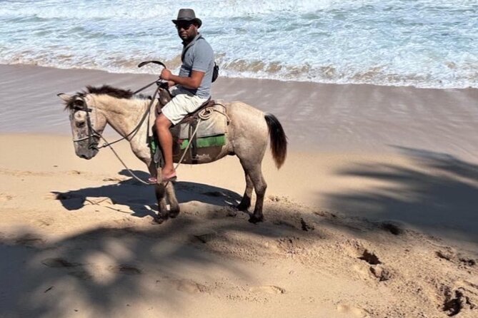 Horseback Riding Experience in Punta Cana - A beach ride with more than sand