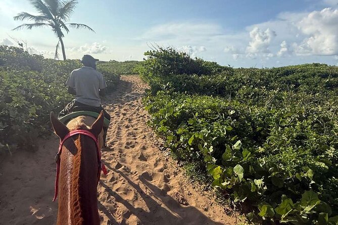 Horseback riding in punta cana beach and Bayahibe - Pickup, transport, and what the $45 covers