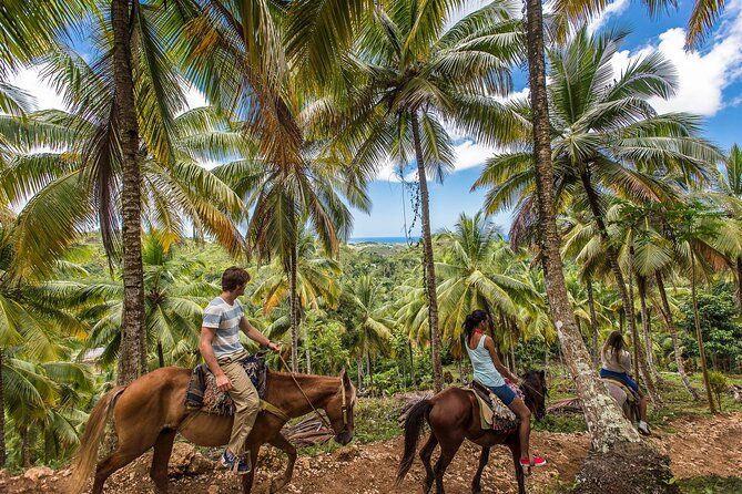 Horseback Riding in the Dominican Jungle - Quick points before you book