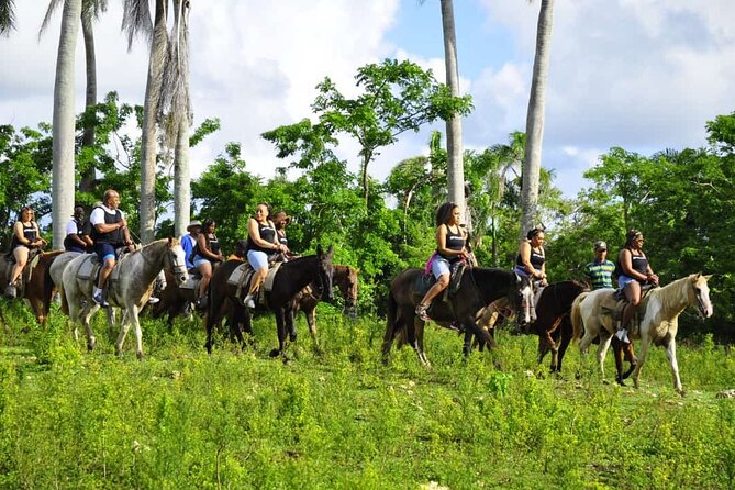Horseback Riding in the Dominican Jungle - Is $69.99 a fair price?