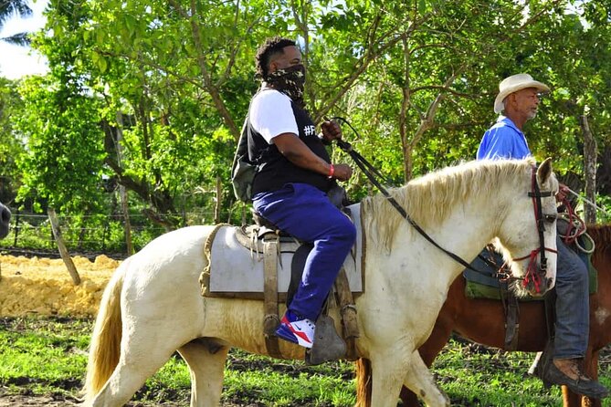 Horseback Riding in the Dominican Jungle - Transfers, timing, and group size