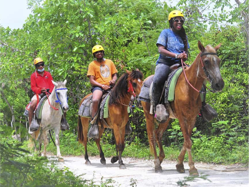 Horseback Riding Macao Beach Experience Paradise onHorseback - Meeting the horses and choosing your mount