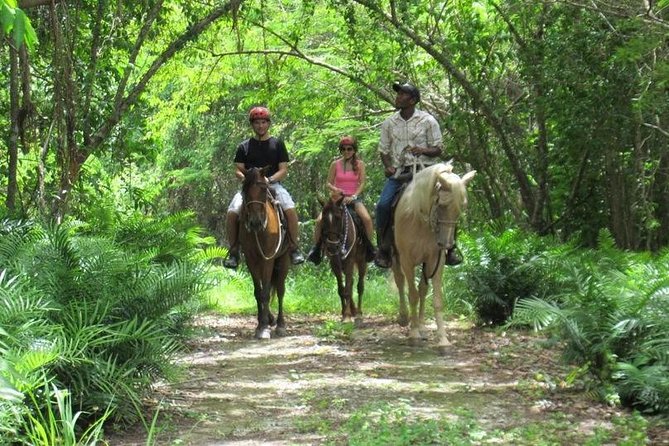 Horseback Riding on the Beach in Punta Cana (One Hour) - A slow ride from forest to Bavaro Beach