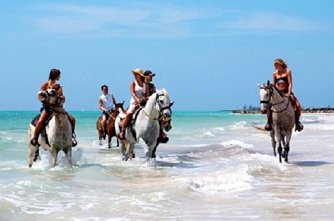 Horseback Riding on the Beach in Punta Cana (One Hour) - Reaching the shoreline on horseback
