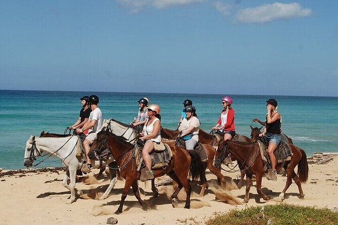Horseback Riding on the Beaches of Punta Cana - Key points to know before you book