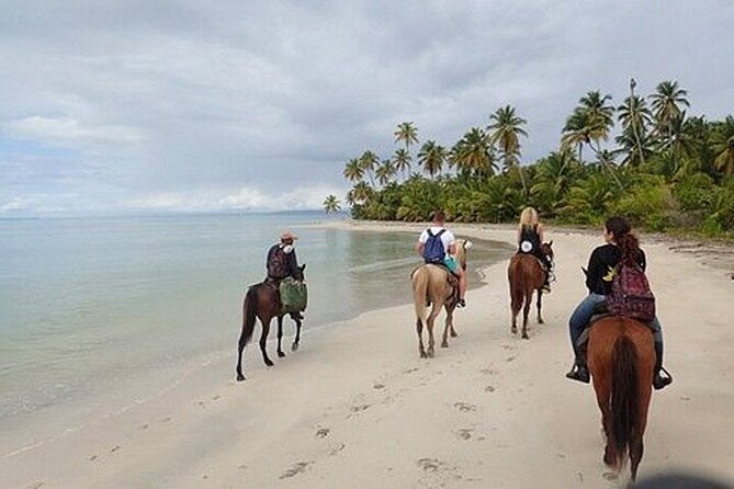 Horseback Riding on the Beaches of Punta Cana - The family and couple factor