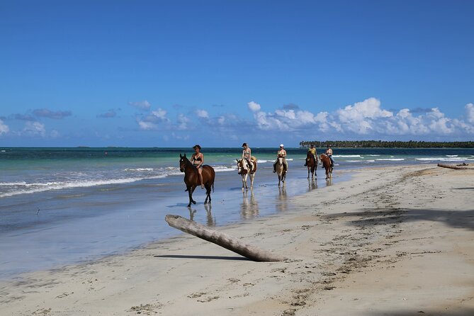 Horseback Riding on the Beaches of Punta Cana - How the $40 price measures up