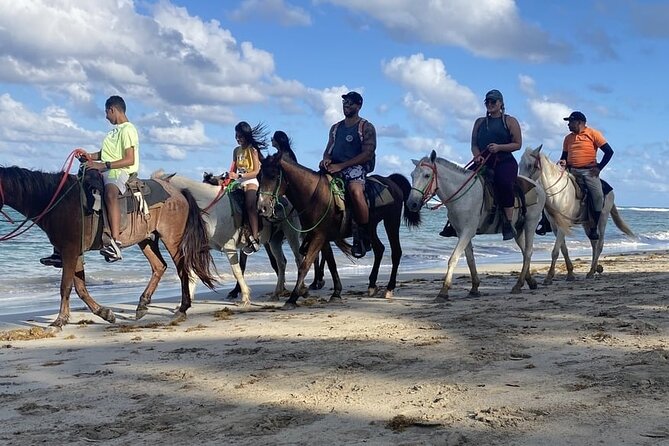 Horseback Riding on the Beaches of Punta Cana - Pickup, timing, and group size