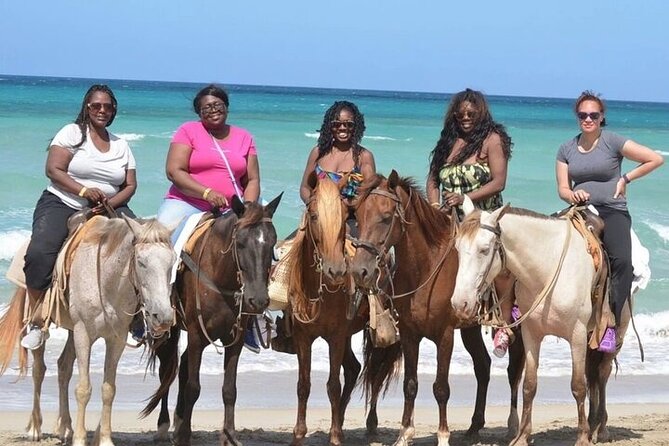 Horseback Riding on the Beaches of Punta Cana - Choosing a horse when you have never ridden