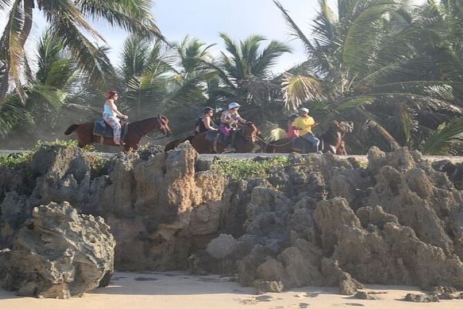 Horseback Riding to Maimon River from Punta Cana - Leaving Punta Cana for the Dominican countryside