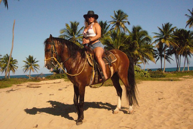 Horseback Riding Tour Adventure on the Beach - What the Ranch and Trails Are Really Like