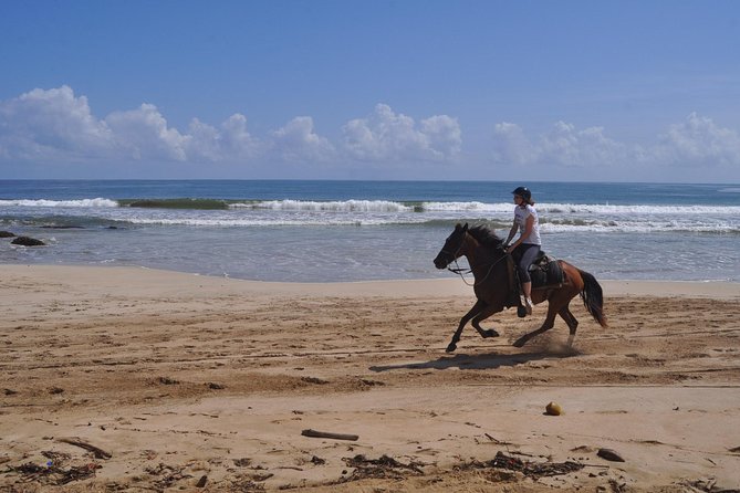 Horseback Riding Tour Adventure on the Beach - How Much Value Does the $99 Price Offer?