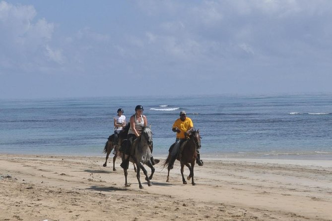Horseback Riding Tour Adventure on the Beach - Practical Tips for a Better Ride