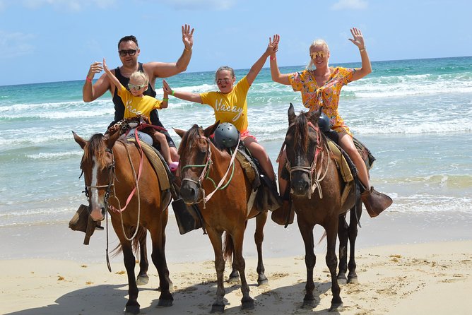 Horseback Riding Tour Adventure on the Beach - Getting Matched With a Horse and Learning the Basics