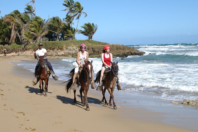 Horseback Riding Tour on the Beaches of Punta Cana - Sunset, Photos, and a More Personal Ride