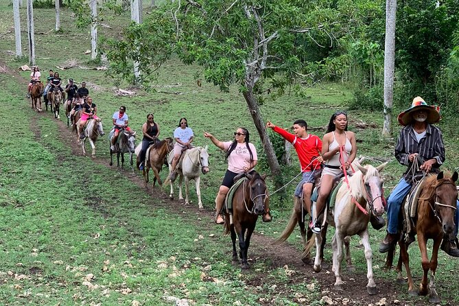 Horseback Riding with Pickup from Punta Cana - Key points at a glance