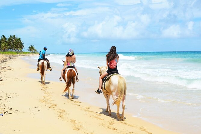 Horses, Buggy, and plantation in Chocaci Ranch - Arriving with pickup from Punta Cana