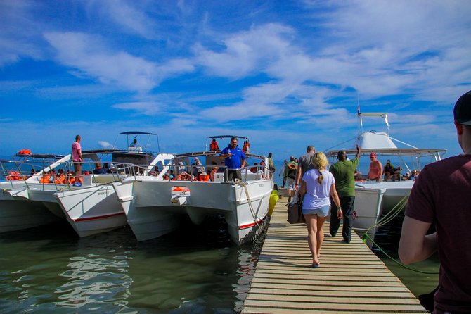 Humpback whales Watching + Samana Eco-Tour - A short look at Samaná City