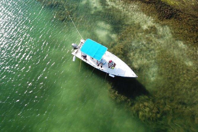 Inshore & Fly Fishing Punta Cana Private charter at Marina Cap Cana - What this Punta Cana fishing charter actually offers