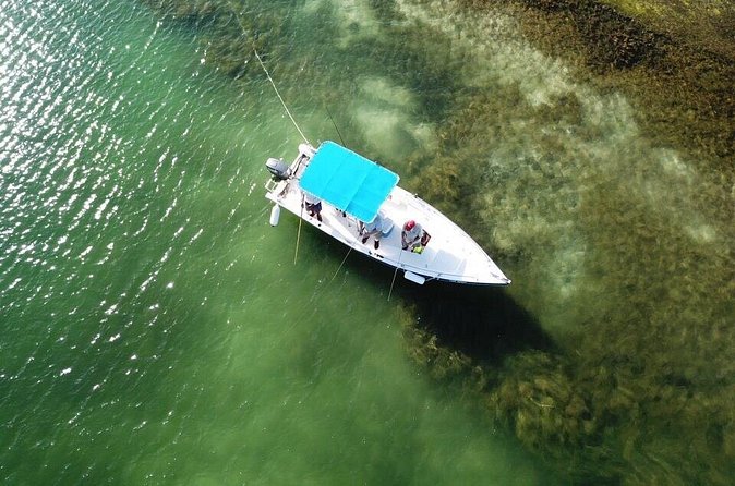 Inshore & Fly Fishing Punta Cana Private charter at Marina Cap Cana - How the 3.3 rating should affect your decision