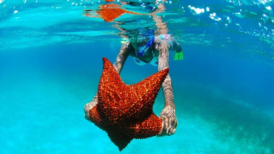 isla saona día completo - Key points at a glance