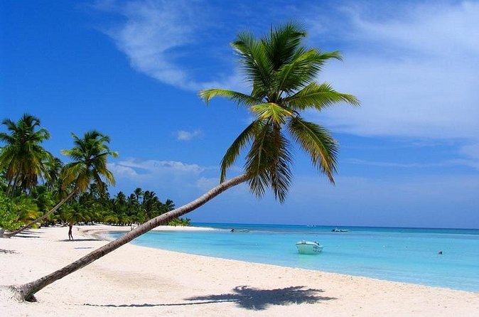 Isla Saona El Paraiso del Caribe - The strongest parts of the experience
