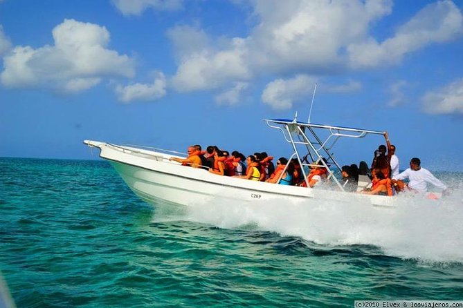 Isla Saona El Paraiso del Caribe - The main weaknesses to consider