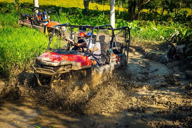 Jungle Buggies and Monkeyland from Punta Cana - Key points to know before booking