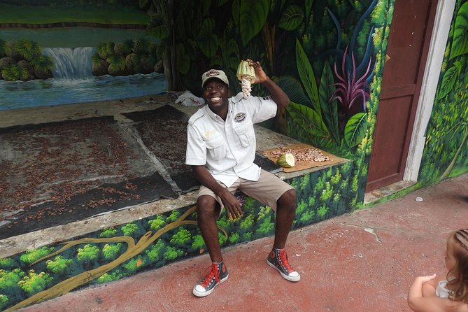 Jungle Buggies and Monkeyland from Punta Cana - Casa del Coco adds a local touch