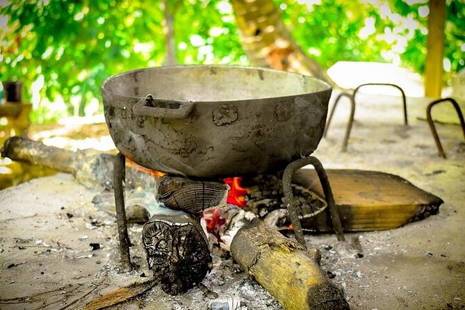 Jungle Buggies + Zilplining + Horseback Ride + Countryside + Macao Beach - A Dominican lunch gives the day a needed pause