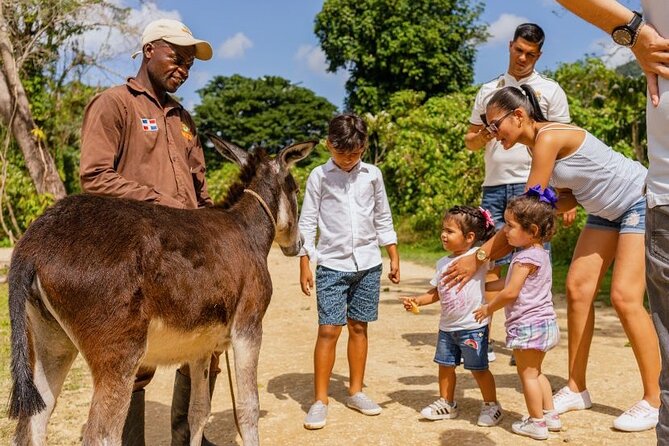 La Hacienda Park: Punta Cana's number one adventure park - Quick Jump delivers the biggest burst of adrenaline