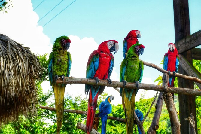 La Hacienda Park Tour - Key points to know before you go