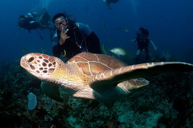 Learn to Scuba Dive in Punta Cana - Key points to know before booking