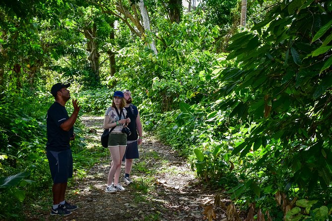 Let's do hiking in Punta Cana - What the hike is really like