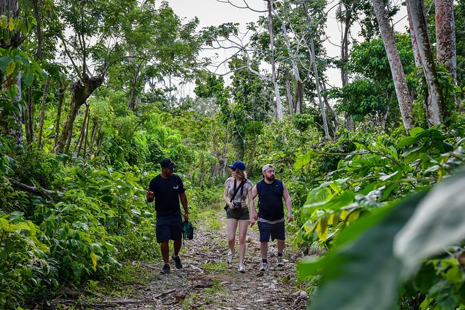 Let's do hiking in Punta Cana - Fruit, coffee, chocolate, and the included refreshments