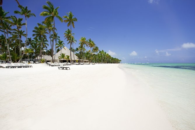 Live Aqua Beach Resort Punta Cana - Round Trip Shuttle - Punta Cana Airport - Key points at a glance