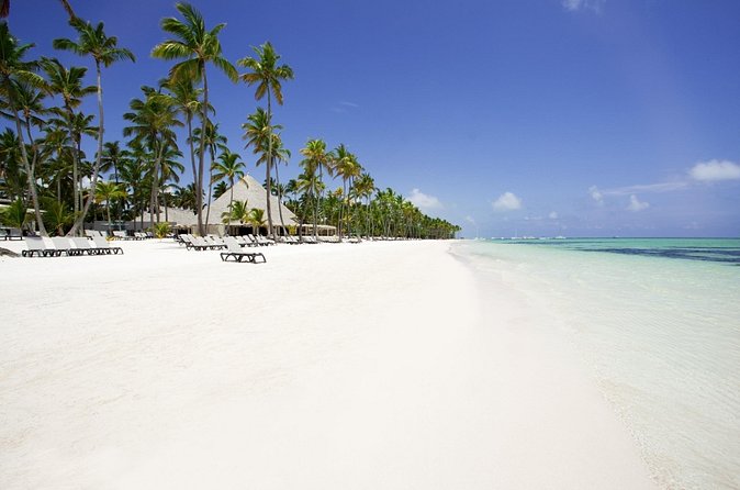 Live Aqua Beach Resort Punta Cana - Round Trip Shuttle - Punta Cana Airport - What the 4.5 rating tells you