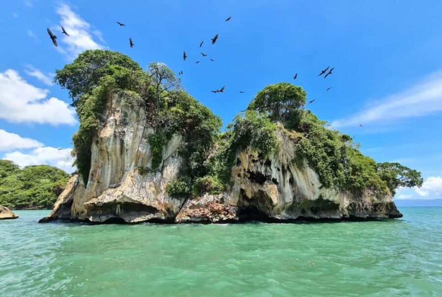 Los Haitises: Boat + Lunch at the beach & Natural pools - Who will enjoy this outing most
