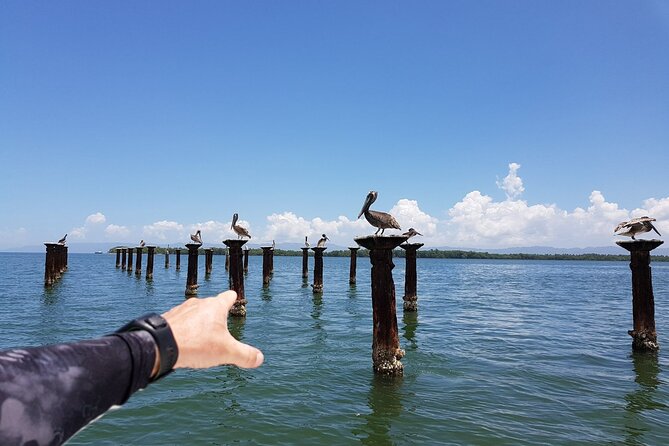 Los Haitises National Park, Montaña Redonda & Bacardi Island - Montaña Redonda: an easy scenic start