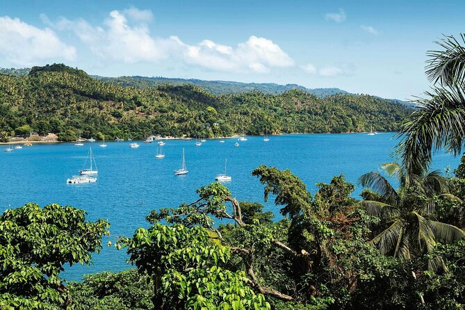 Los Haitises National Park, Montaña Redonda & Bacardi Island - Snorkeling, swim stops, and what is included