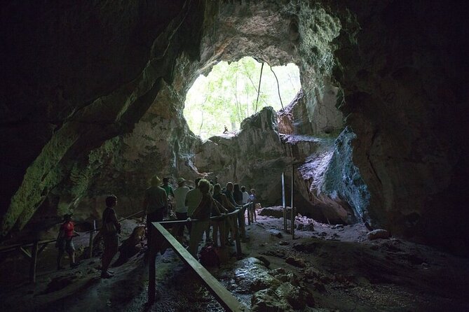 LOS HAITISES National Park - Punta cana - Limestone cliffs, beaches, and open views
