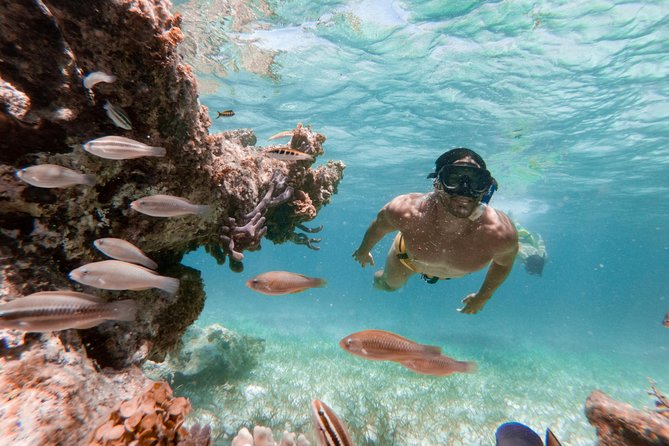 Marinarium Snorkeling Cruise from Punta Cana - What the Marinarium cruise is really about