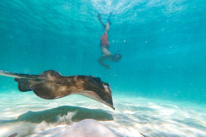 Marinarium Snorkeling Cruise from Punta Cana - Is $115 a fair price?