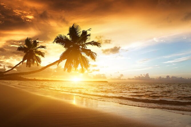 Meliá Caribe Beach - Round Trip Shuttle - Punta Cana Airport - Who will get the most from this transfer