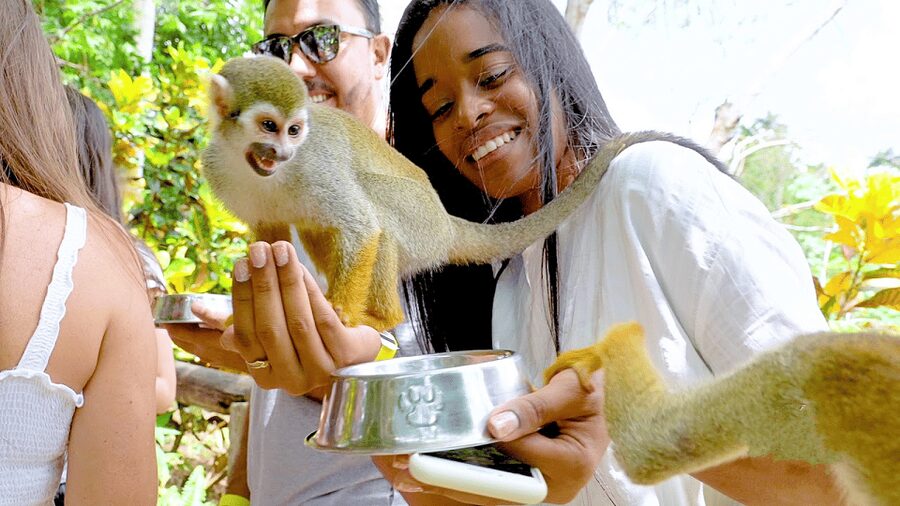 Monkey Encounter + ATV Riding Adventure – Puerto Plata - Coffee, cacao, fruit, and a taste of rural life