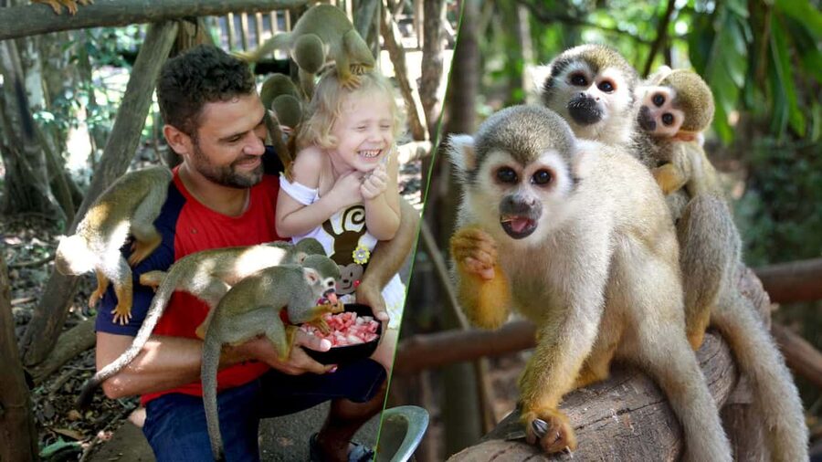 Monkey Encounter + ATV Riding Adventure – Puerto Plata - Practical things to bring and confirm